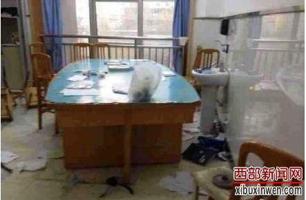 西安中心医院发生医患冲突 致医生民警6人受伤